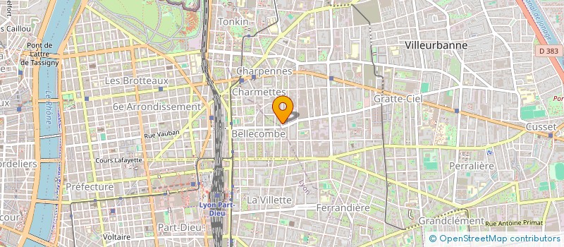 localisation de l'entreprise MADAME ANA PAMELA SAU  VILLEURBANNE