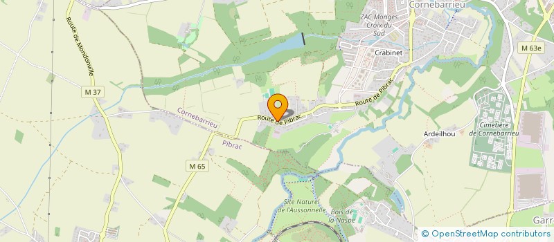 localisation de l'entreprise MADAME ANA PAULA NIERI DE TOLEDO SOARES  CORNEBARRIEU