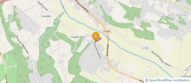 localisation de l'entreprise MADAME ANA PIRES PINTO  MONTAUBAN