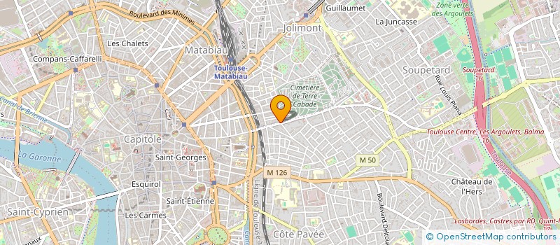 localisation de l'entreprise MADAME ANA RIDET  TOULOUSE