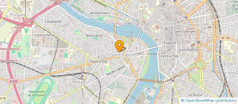 localisation de l'entreprise MADAME ANAELE DELRIEU  TOULOUSE