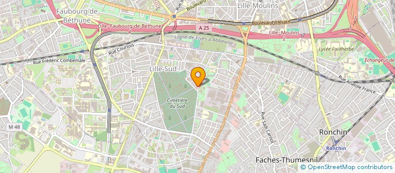 localisation de l'entreprise MADAME ANAELLE AHOOMEY-ZUNU à LILLE