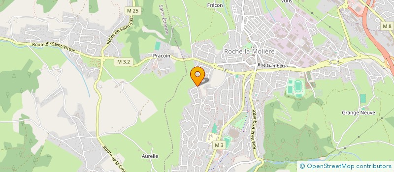 localisation de l'entreprise MADAME ANAELLE FLOTTE  ROCHE-LA-MOLIERE