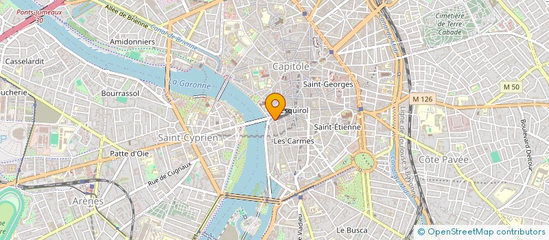 localisation de l'entreprise MADAME ANAELLE NICOLAS à TOULOUSE
