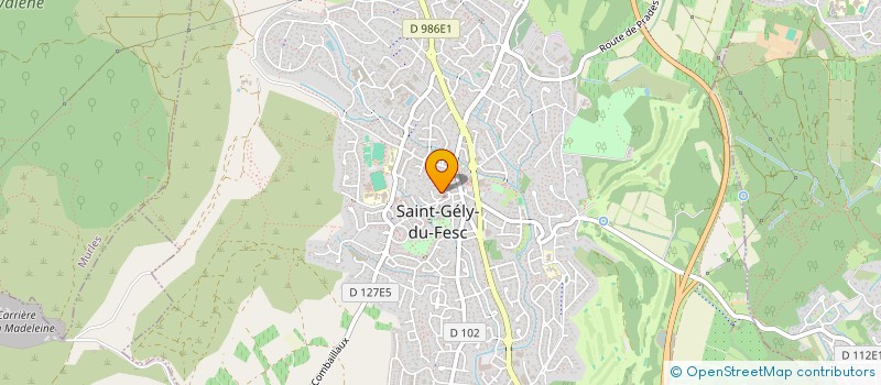 localisation de l'entreprise MADAME ANAIS BELPEER  SAINT-GELY-DU-FESC