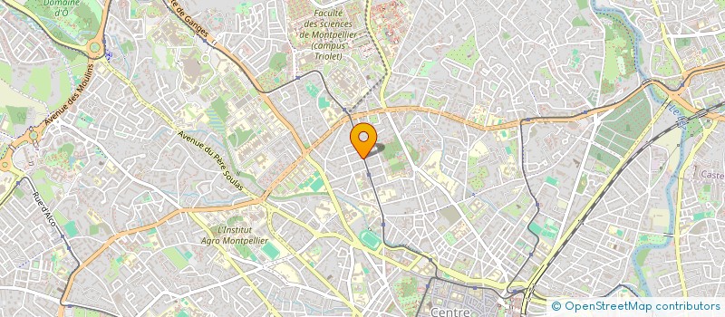 localisation de l'entreprise MADAME ANAIS BESSON à MONTPELLIER