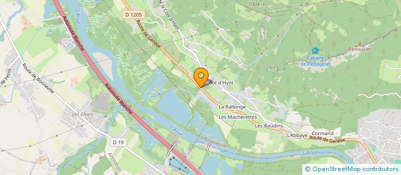 localisation de l'entreprise MADAME ANAIS BESSON-MAGDELAIN  BONNEVILLE