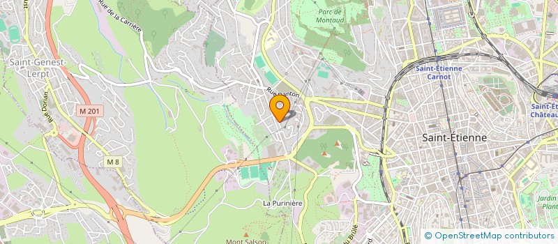 localisation de l'entreprise MADAME ANAIS CANGELOSI  SAINT-ETIENNE