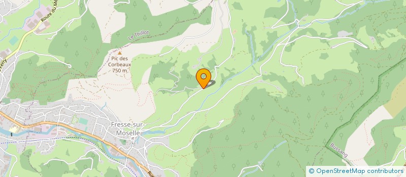 localisation de l'entreprise MADAME ANAIS CLAUDE  FRESSE-SUR-MOSELLE