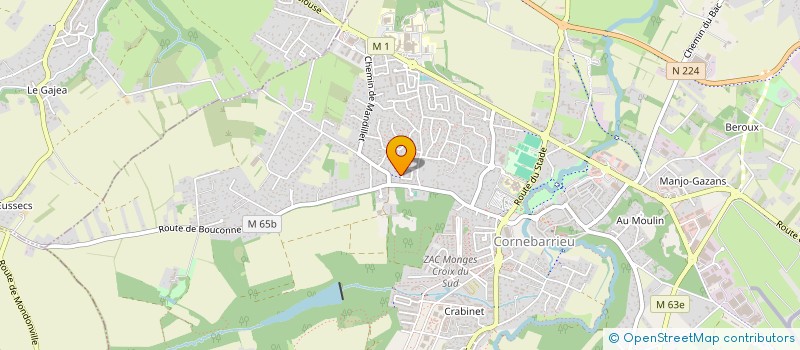 localisation de l'entreprise MADAME ANAIS DELFOSSE  CORNEBARRIEU