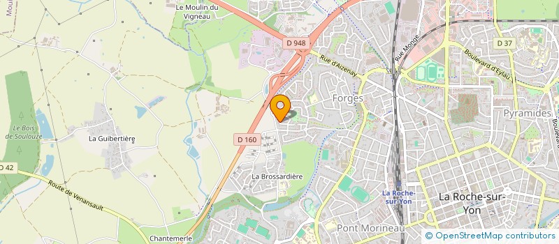 localisation de l'entreprise MADAME ANAIS DELINEAU à LA ROCHE-SUR-YON