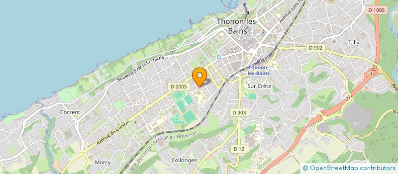 localisation de l'entreprise MADAME ANAIS DISTELZWEY à THONON-LES-BAINS
