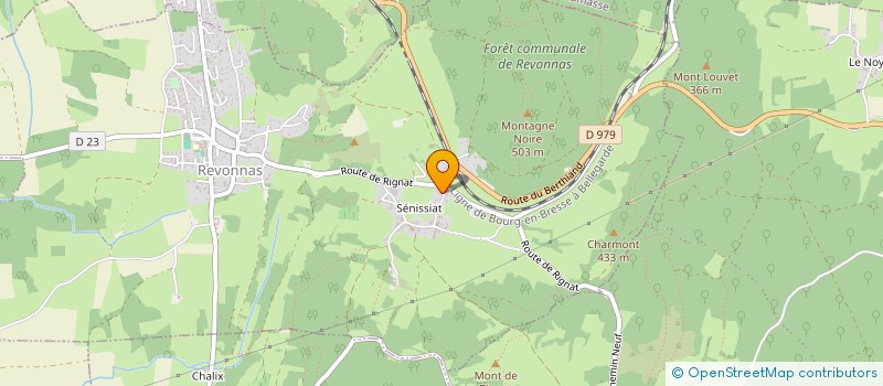 localisation de l'entreprise MADAME ANAIS ESCOBAR  REVONNAS