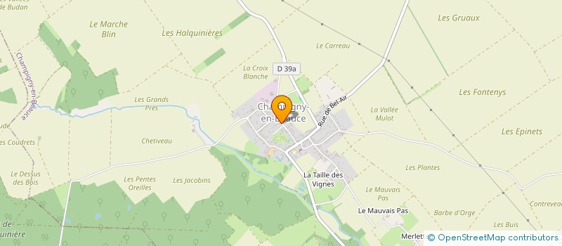 localisation de l'entreprise MADAME ANAIS GERARD  CHAMPIGNY-EN-BEAUCE