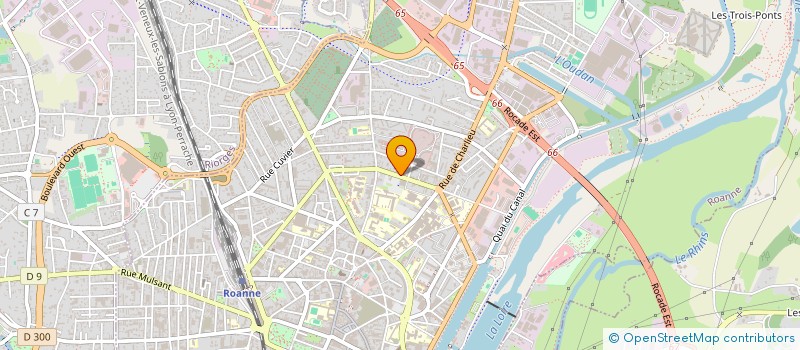 localisation de l'entreprise MADAME ANAIS HAUDIQUER  ROANNE