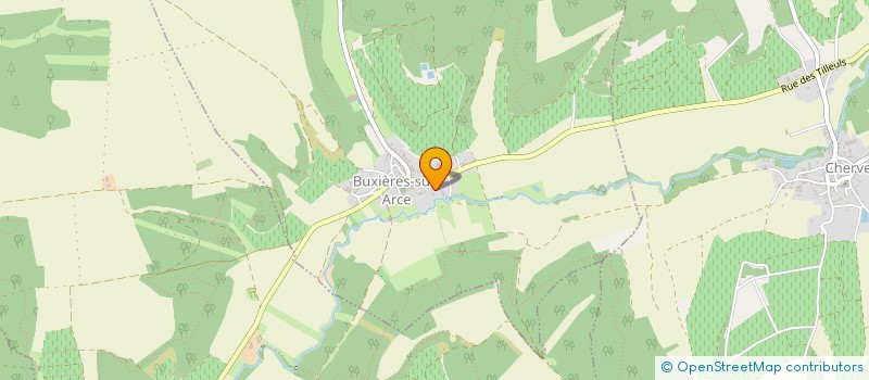 localisation de l'entreprise MADAME ANAIS MARGUENOT à BUXIERES-SUR-ARCE