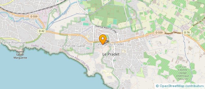 localisation de l'entreprise MADAME ANAIS MATEU à LE PRADET
