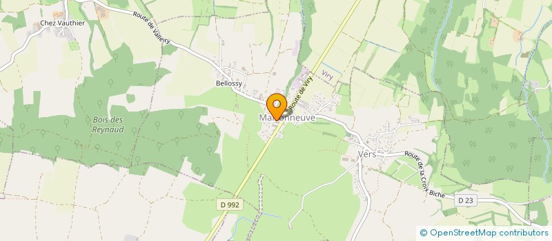 localisation de l'entreprise MADAME ANAIS MEDECIN  VERS