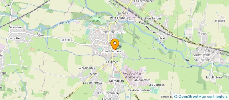 localisation de l'entreprise MADAME ANAIS PRALAS  PONT-DE-VEYLE