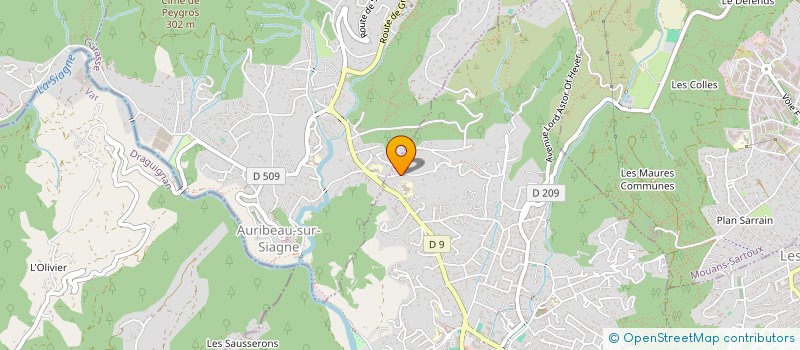 localisation de l'entreprise MADAME ANAIS SAINSON  PEGOMAS