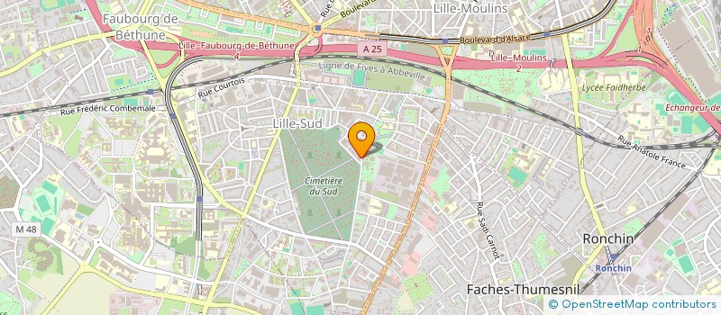 localisation de l'entreprise MADAME ANAIS TANNER  LILLE