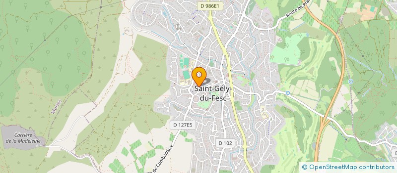 localisation de l'entreprise MADAME ANANDA MARQUE  SAINT-GELY-DU-FESC