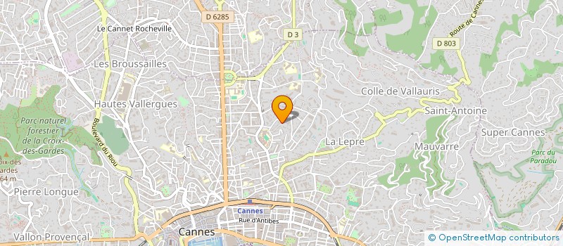 localisation de l'entreprise MADAME ANASTASIA CRECIUN  CANNES