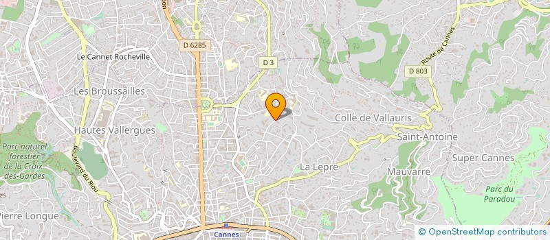 localisation de l'entreprise MADAME ANASTASIA NAWROCKI GLAGOLEFF  CANNES