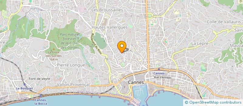 localisation de l'entreprise MADAME ANASTASIA PATIRNICHE à CANNES