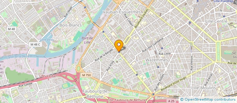 localisation de l'entreprise MADAME ANASTASIA POISSON  LILLE