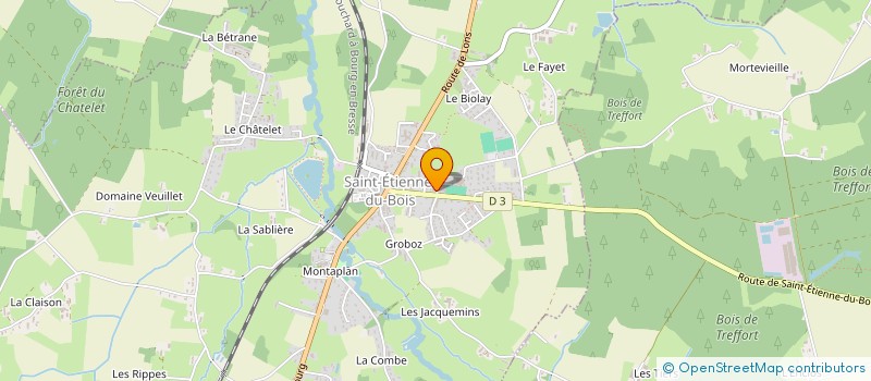 localisation de l'entreprise MADAME ANASTASIA TEDESCO  SAINT-ETIENNE-DU-BOIS