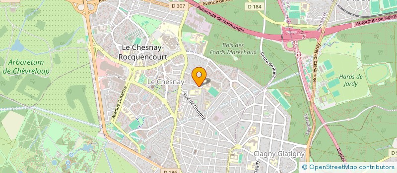 localisation de l'entreprise MADAME ANASTASIA ZAMISNII à LE CHESNAY-ROCQUENCOURT