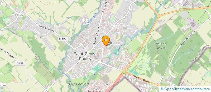 localisation de l'entreprise MADAME ANASTASIIA EFIMOVA  SAINT-GENIS-POUILLY