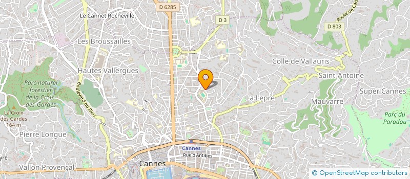 localisation de l'entreprise MADAME ANASTASIIA KALIANOVA à CANNES