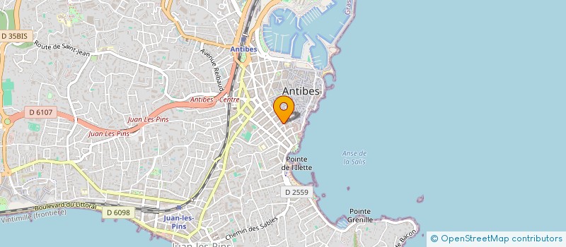 localisation de l'entreprise MADAME ANASTASIIA MELAMED à ANTIBES