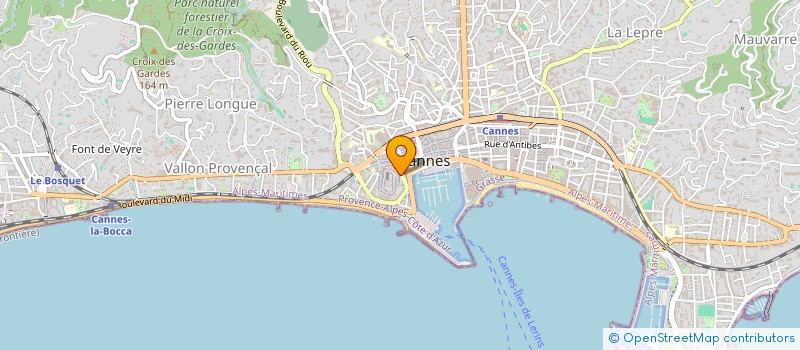 localisation de l'entreprise MADAME ANASTASIIA SMIRNOVA  CANNES