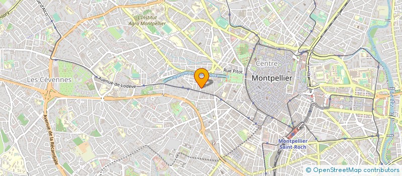 localisation de l'entreprise MADAME ANCA FOTA à MONTPELLIER