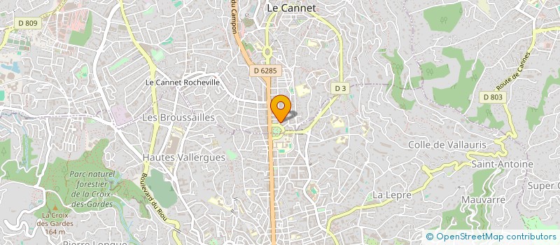 localisation de l'entreprise MADAME ANCA UNGUREANU à LE CANNET