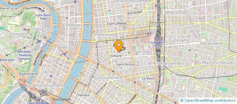 localisation de l'entreprise MADAME ANCUTA TUDORANCEA  LYON