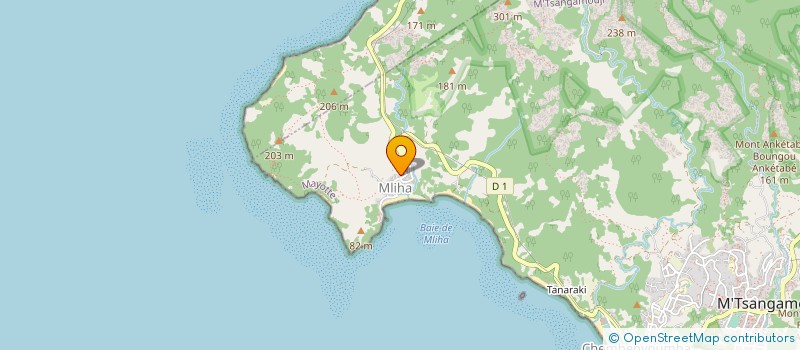 localisation de l'entreprise MADAME ANDJIRATI MKIDADI  M'TSANGAMOUJI