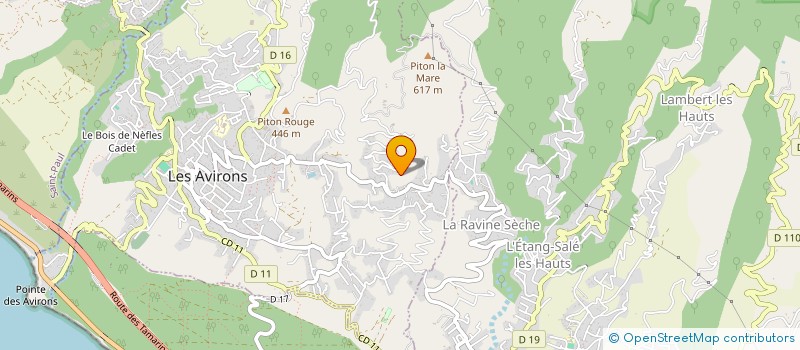 localisation de l'entreprise MADAME ANDRE JOUBERT  LES AVIRONS