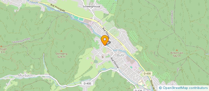 localisation de l'entreprise MADAME ANDREA DINGER  BUHL