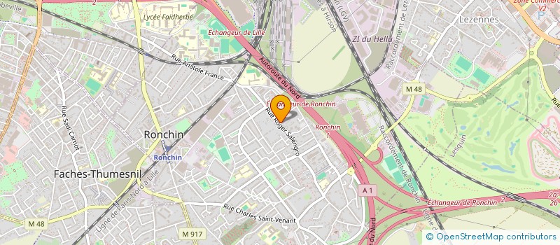 localisation de l'entreprise MADAME ANDREA FERREIRA  RONCHIN