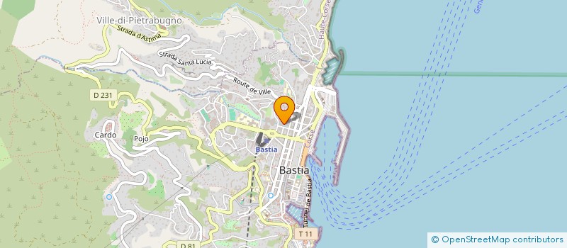 localisation de l'entreprise MADAME ANDREA GIACINTI-RICCIARELLI à BASTIA