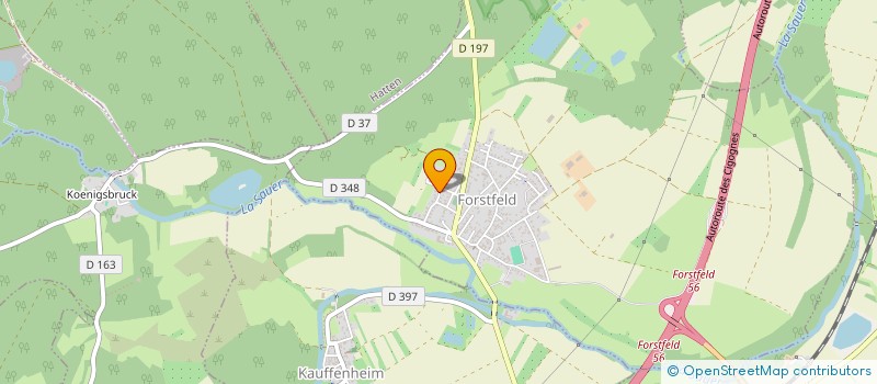 localisation de l'entreprise MADAME ANDREA RITTER  FORSTFELD