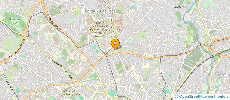 localisation de l'entreprise MADAME ANDREA TORRENTELLE à MONTPELLIER