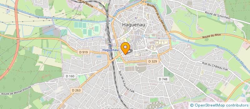 localisation de l'entreprise MADAME ANDREE BRAUNWALD  HAGUENAU