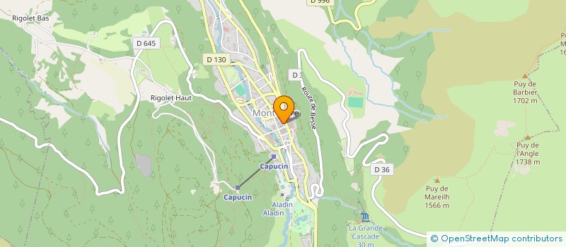 localisation de l'entreprise MADAME ANDREE FRAIGEFOND  MONT-DORE