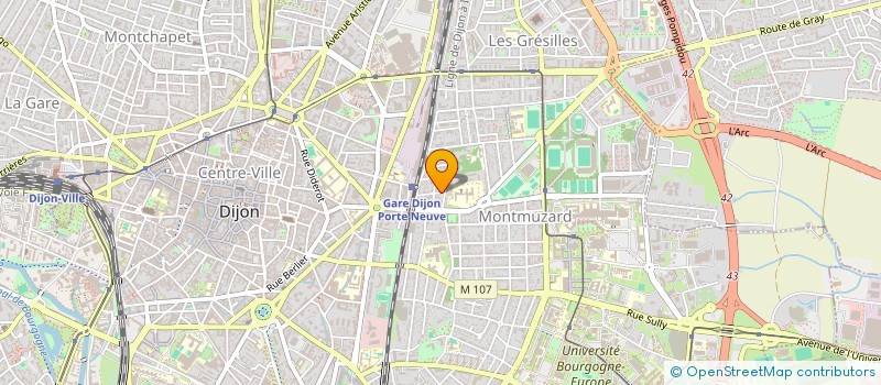 localisation de l'entreprise MADAME ANDREE LAMBERT à DIJON