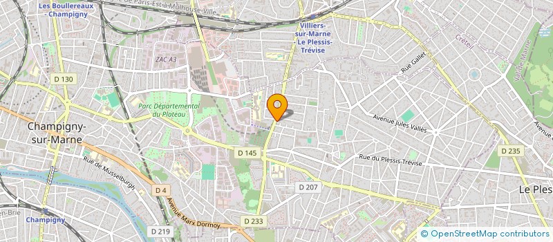 localisation de l'entreprise MADAME ANDREE MONTALDO  CHAMPIGNY-SUR-MARNE